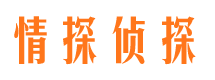 拜城市侦探调查公司